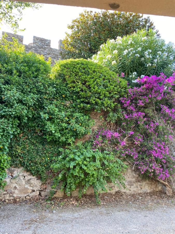Pretty Historical Village House Grimaud Extérieur photo